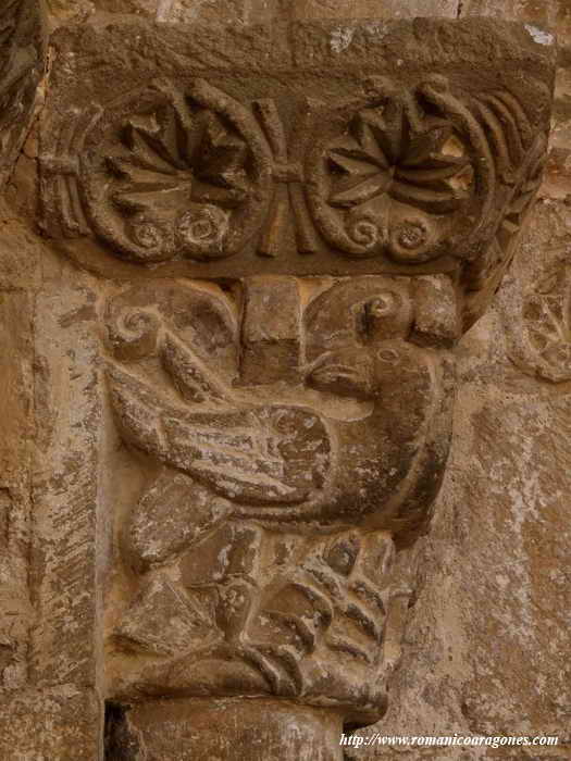 ÁGUILAS CON PECES EN SUS GARRAS